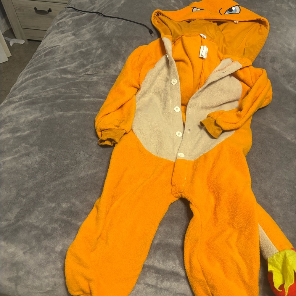 Charizard Costume